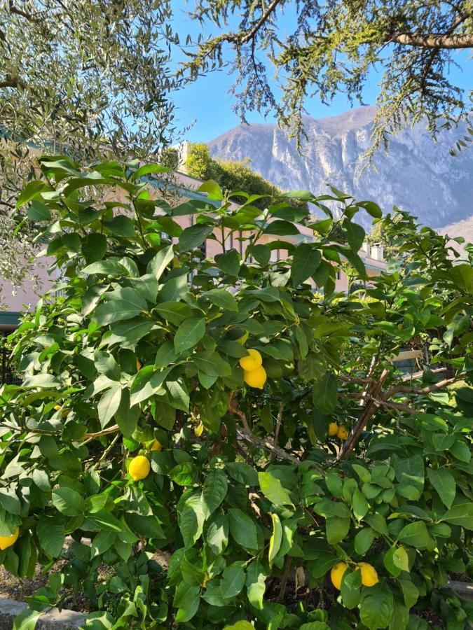 Le Peonie Apartamento Riva del Garda Exterior foto