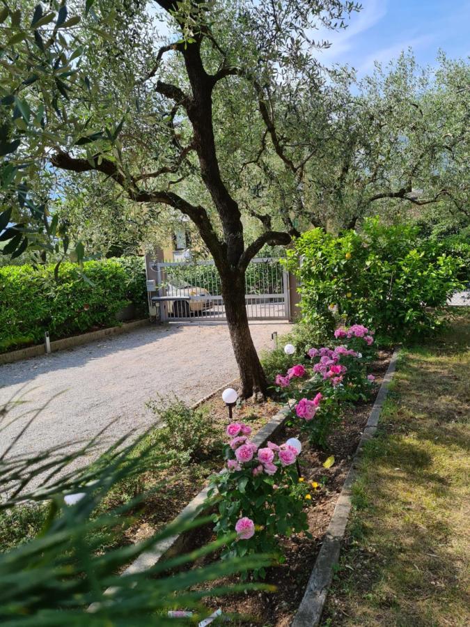Le Peonie Apartamento Riva del Garda Exterior foto